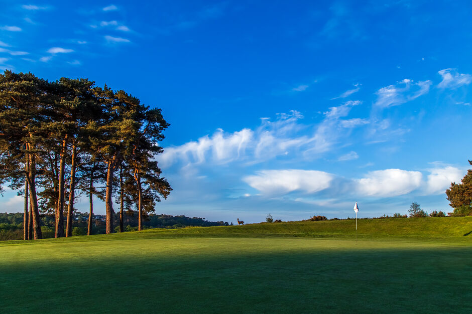Pro Shop 1