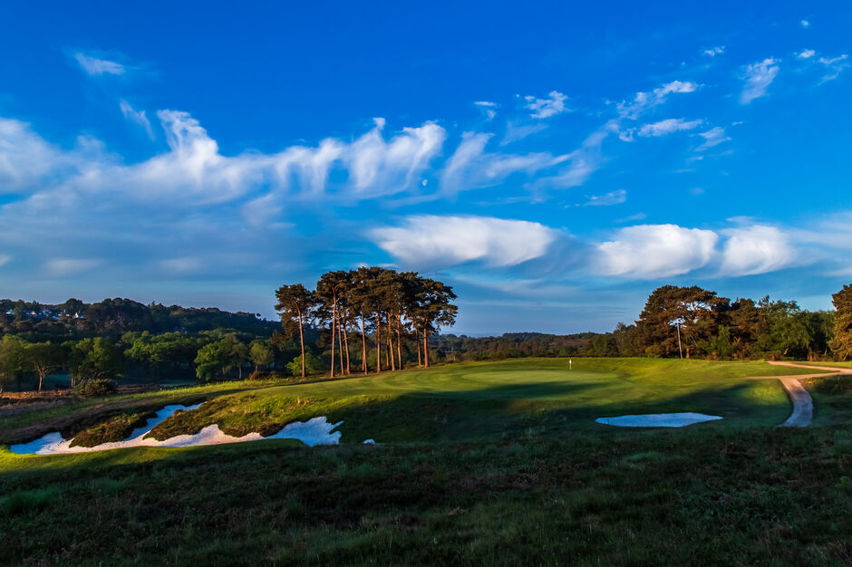 Pro Shop 1