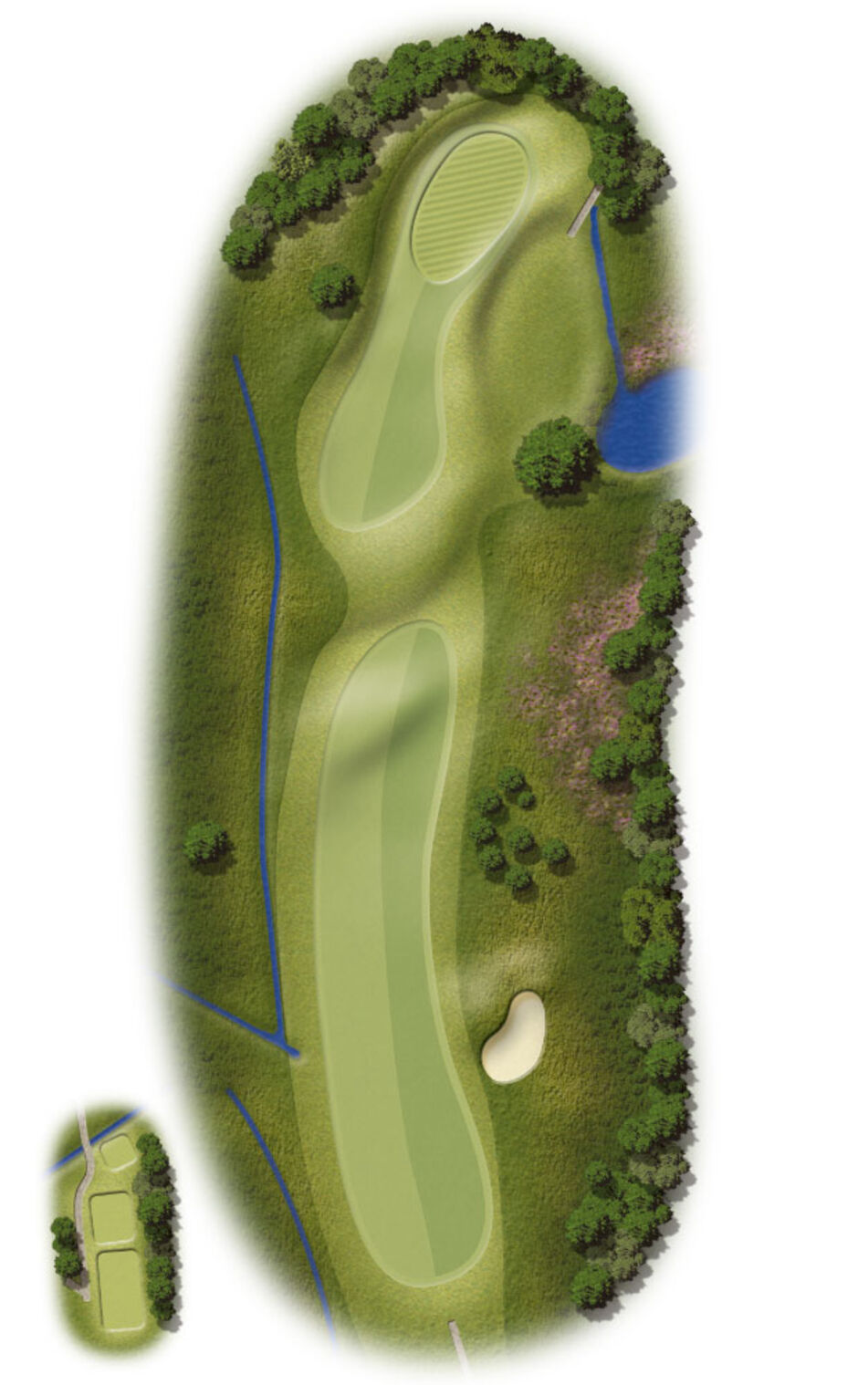 Hole 4 Map