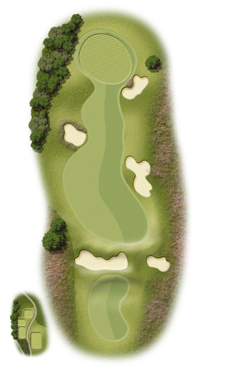 Hole 5 Map