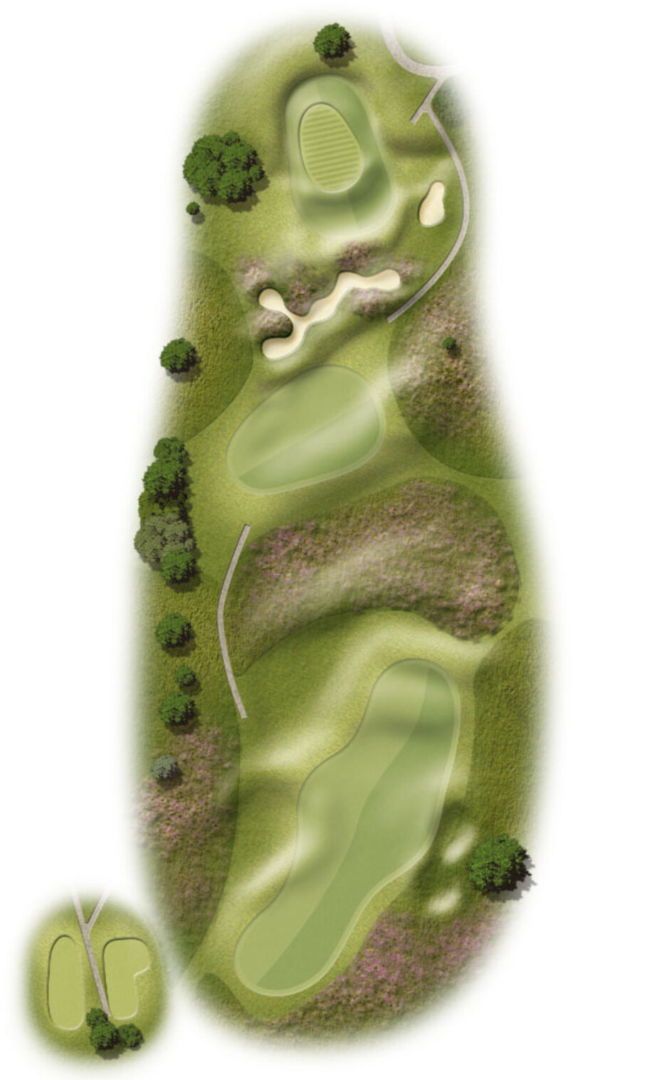 Hole 7 Map